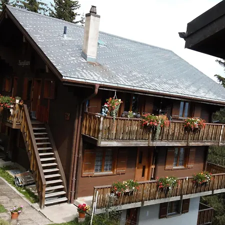 Baergblueemli 1- Og Ost Studio- Dusche Oder Bad- Wc 1 1-2 Zimmerwohnung- 2-betten By Interhome Appartamento Bettmeralp