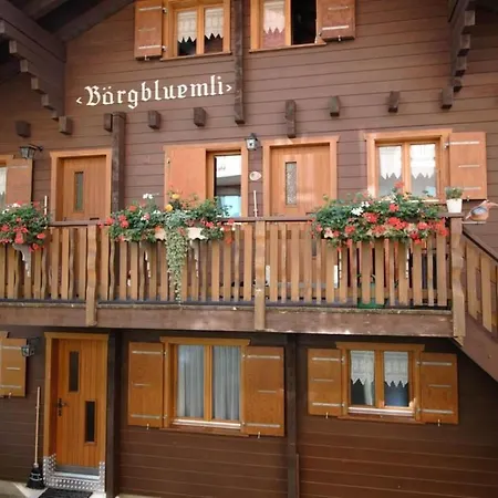 Appartamento Baergblueemli 1- Og Ost Studio- Dusche Oder Bad- Wc 1 1-2 Zimmerwohnung- 2-betten By Interhome *